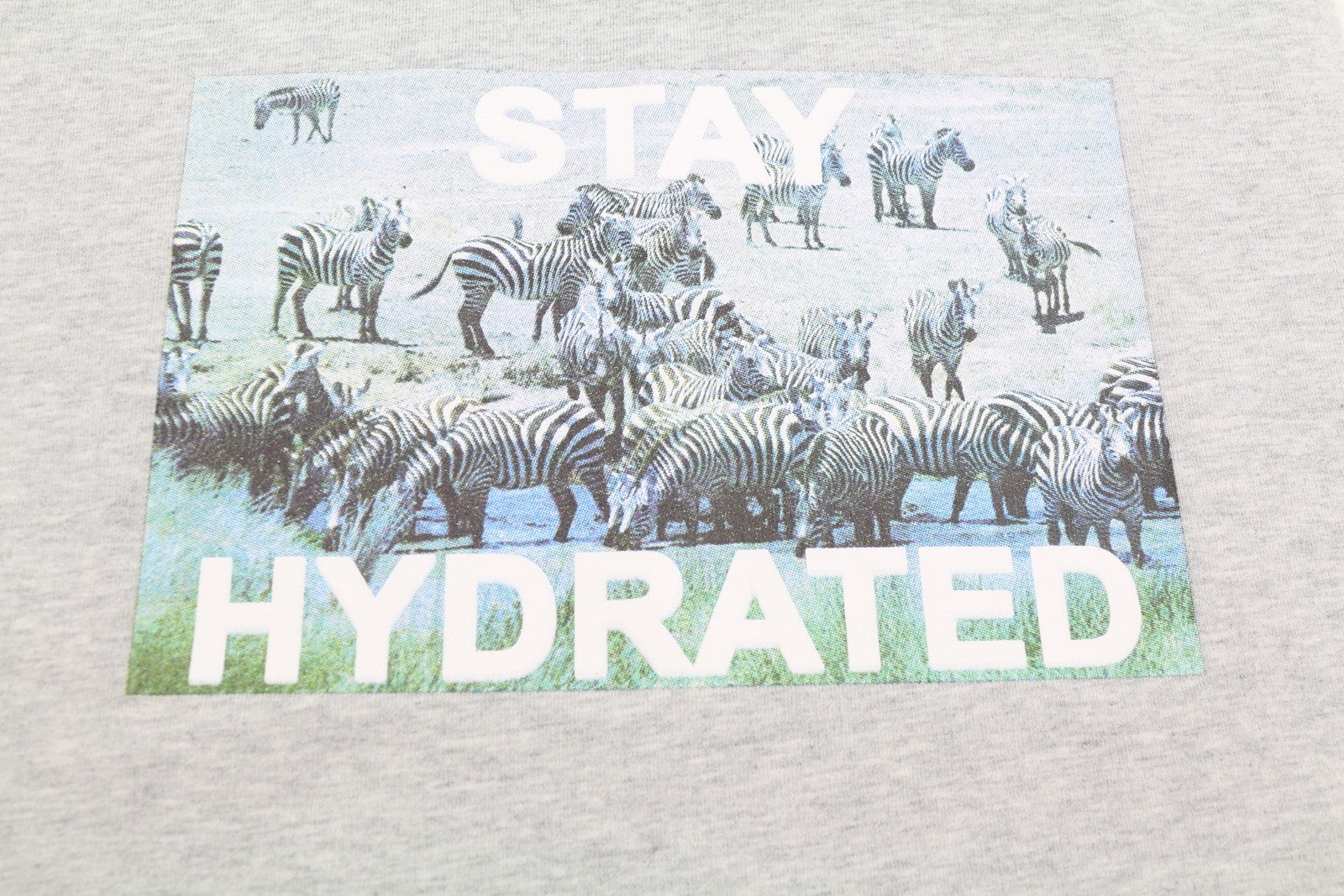 OFFLINE BY AERIE Women T-Shirt XS Grey Melange Zebra Print Sleeveless