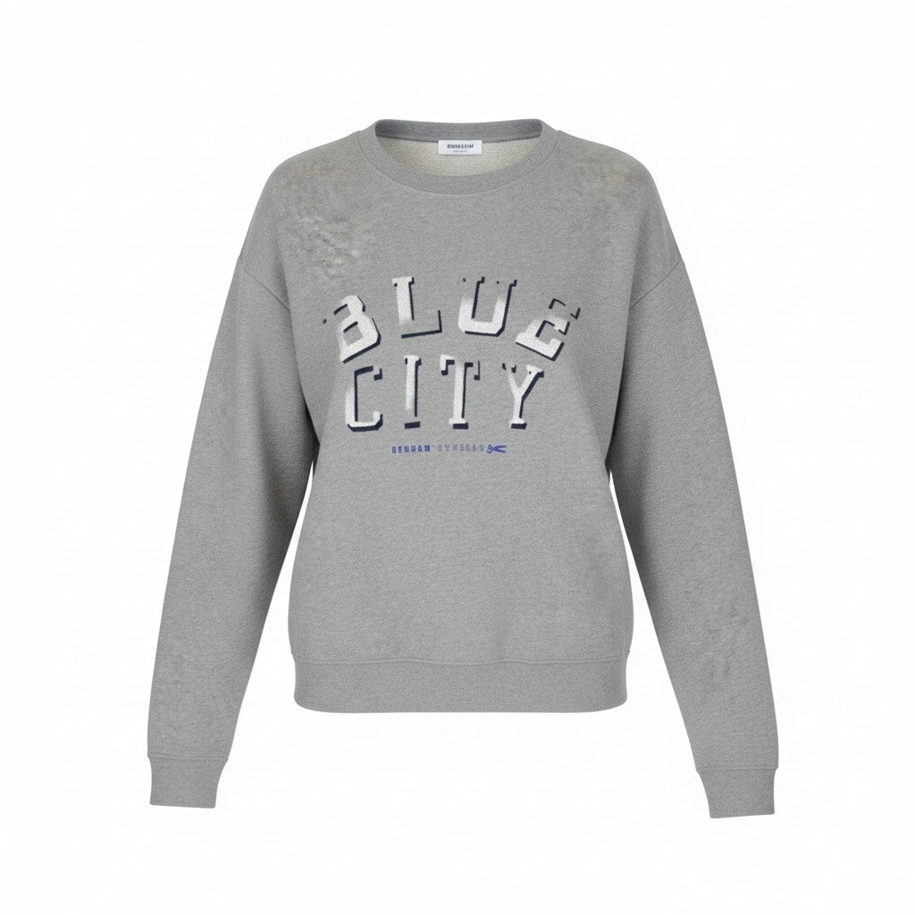 DENHAM Blue City Women Sweatshirt XS Logo Printed Grey Melange Long Sleeved