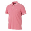 Polos Sunbleached Pique SS Rugger