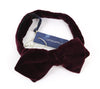 Red Velvet Bowtie