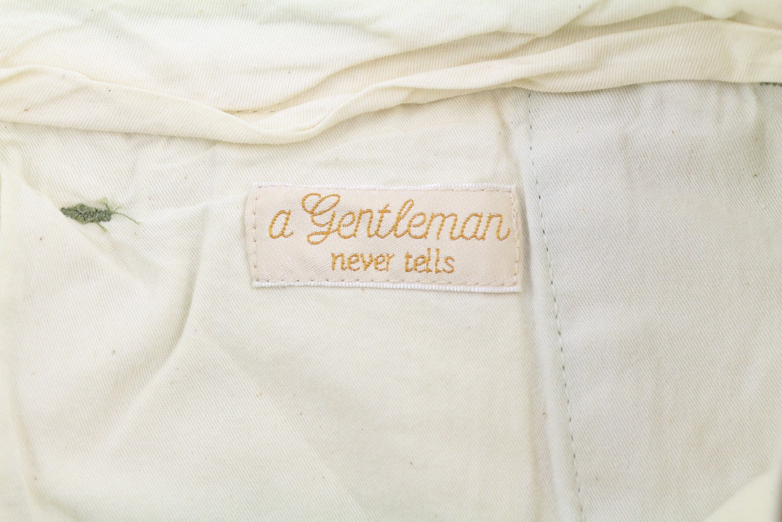 SCOTCH &amp; SODA vyriški šortai W32 Chino, žali, raštuoti, su užtrauktuku ir logotipu, laisvalaikio stiliaus. 