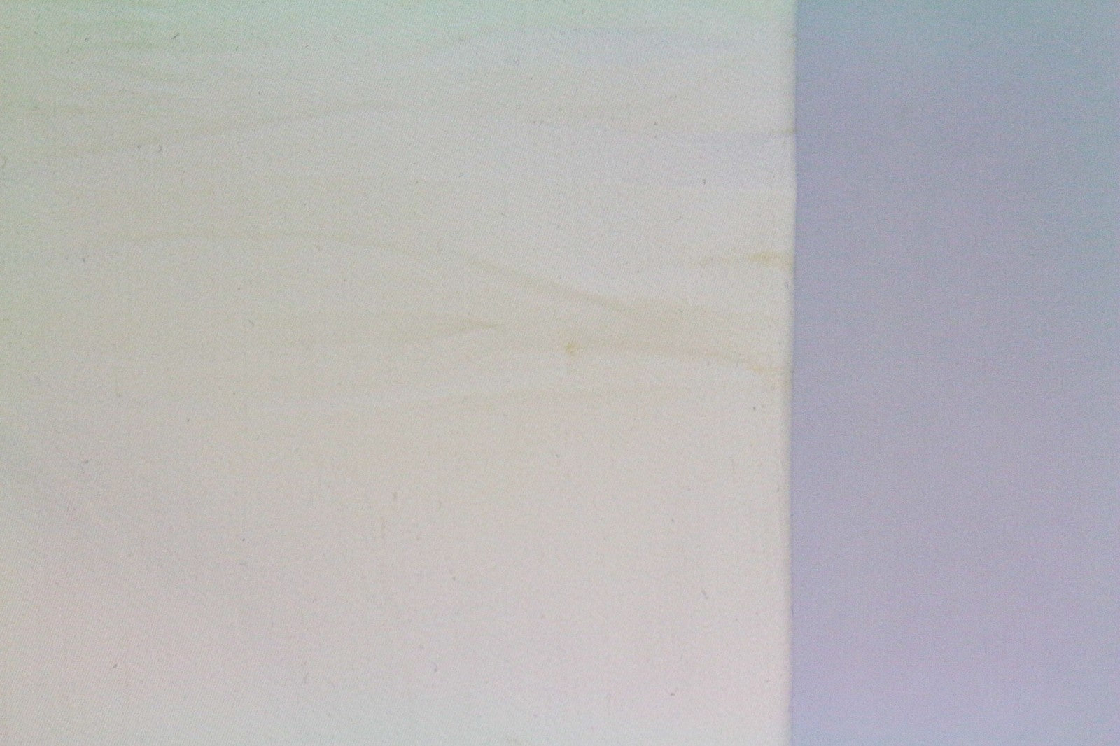 MAISON SCOTCH La Bohemienne moteriškos aptemptos kelnės, W28/L30, balkšvos, vidutinio liemens 