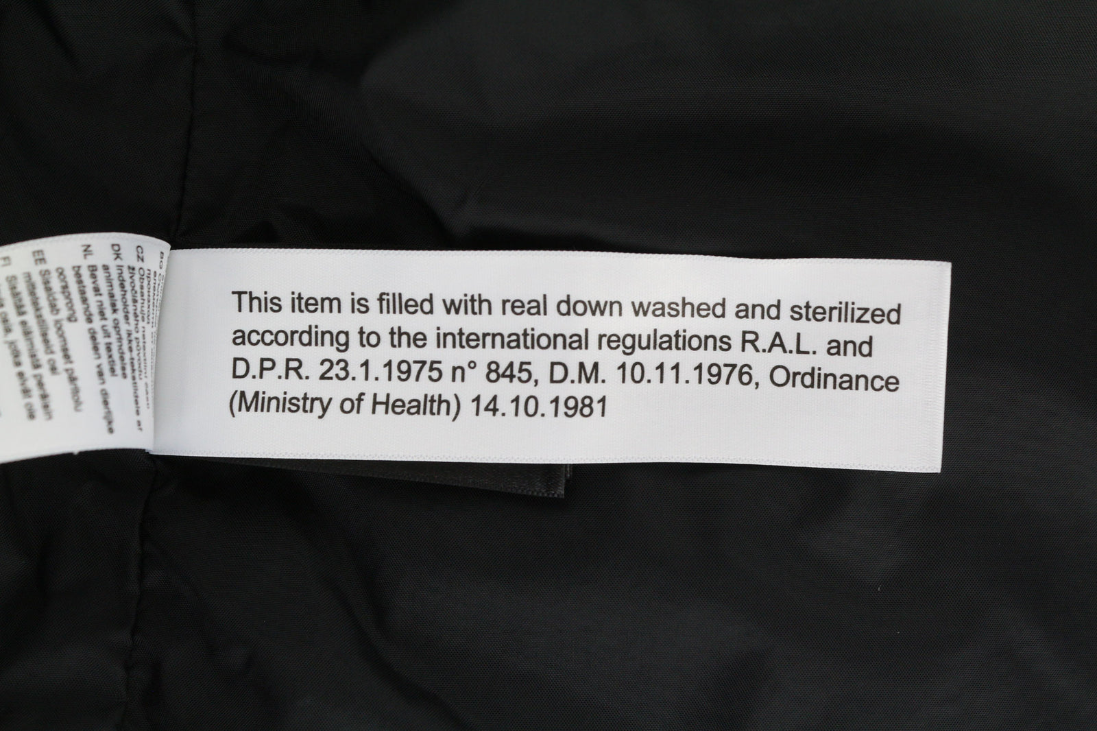 THE NORTH FACE Pallie moteriška striukė su sniego pūkų izoliacija ir pamušalu, L dydžio, su gobtuvu ir pamušalu, slidinėjimo logotipu. 