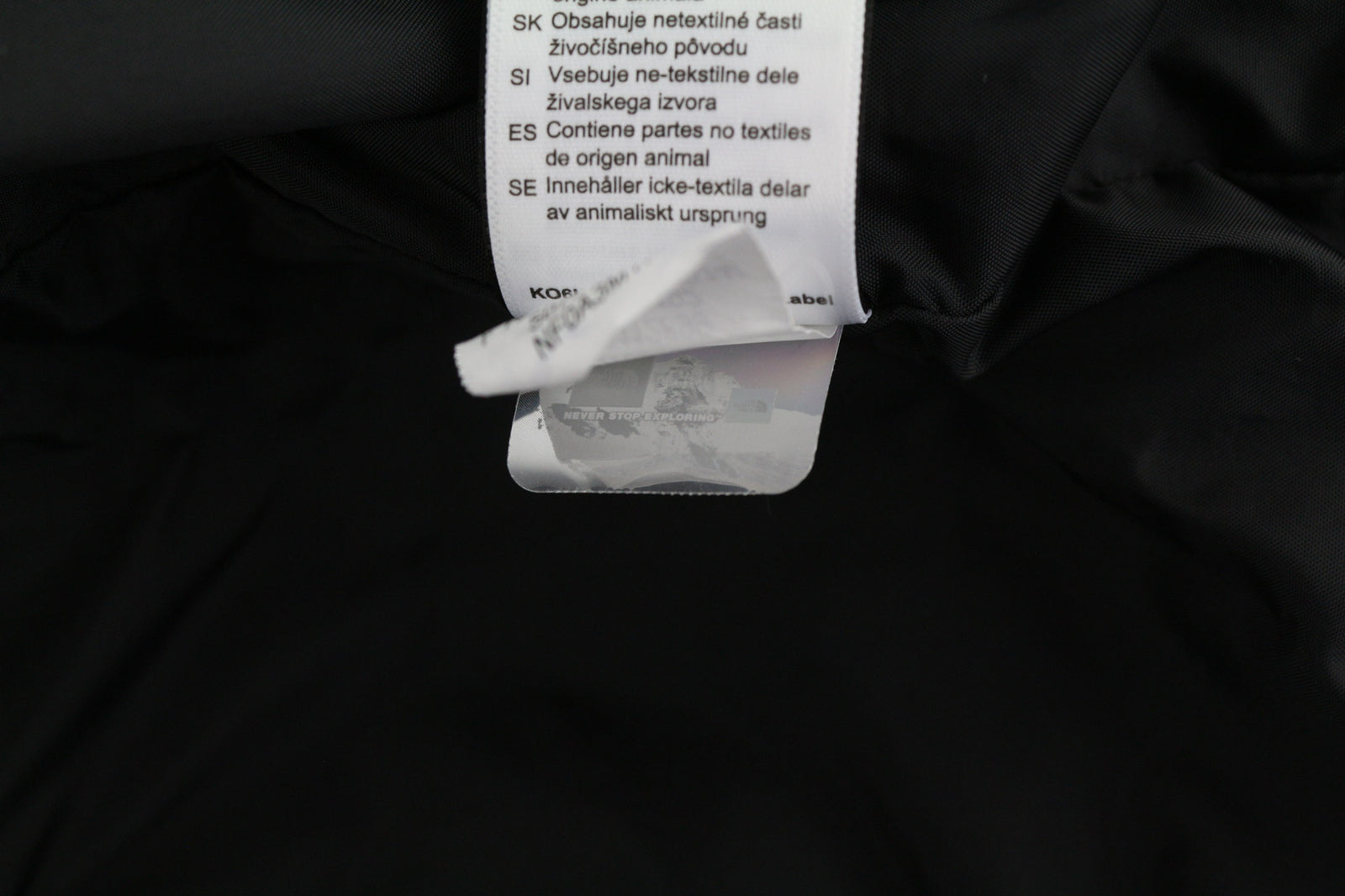 THE NORTH FACE Pallie moteriška striukė su sniego pūkų izoliacija ir pamušalu, L dydžio, su gobtuvu ir pamušalu, slidinėjimo logotipu. 