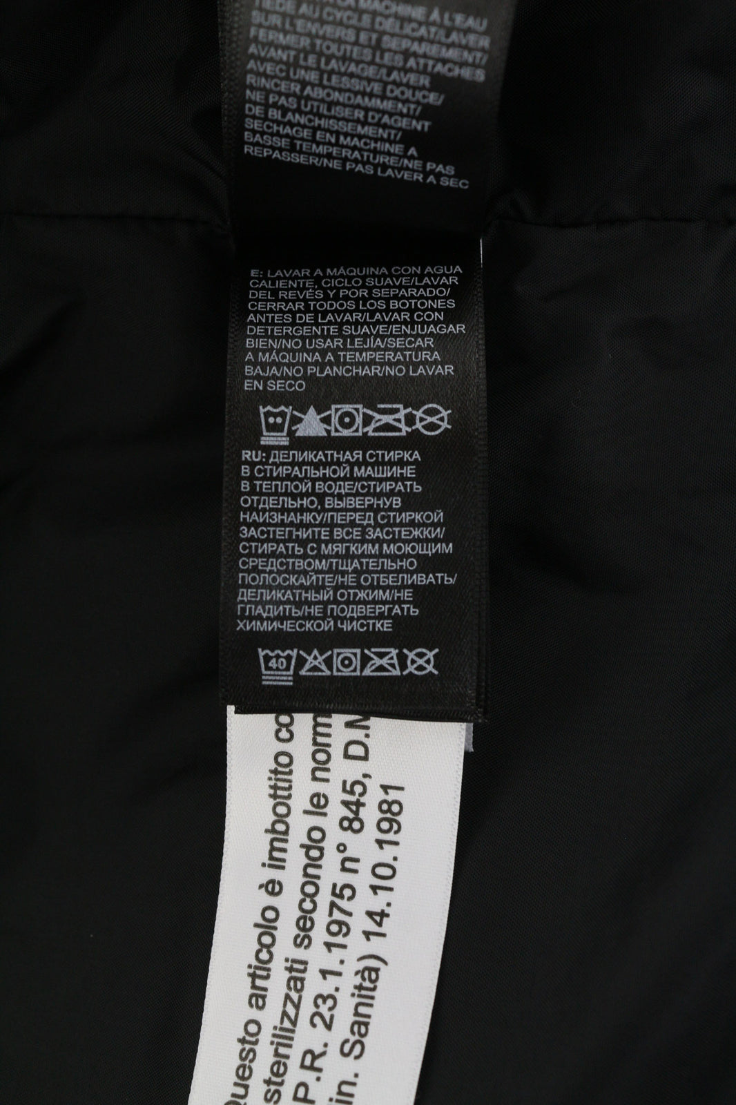 THE NORTH FACE Pallie moteriška striukė su sniego pūkų izoliacija ir pamušalu, L dydžio, su gobtuvu ir pamušalu, slidinėjimo logotipu. 