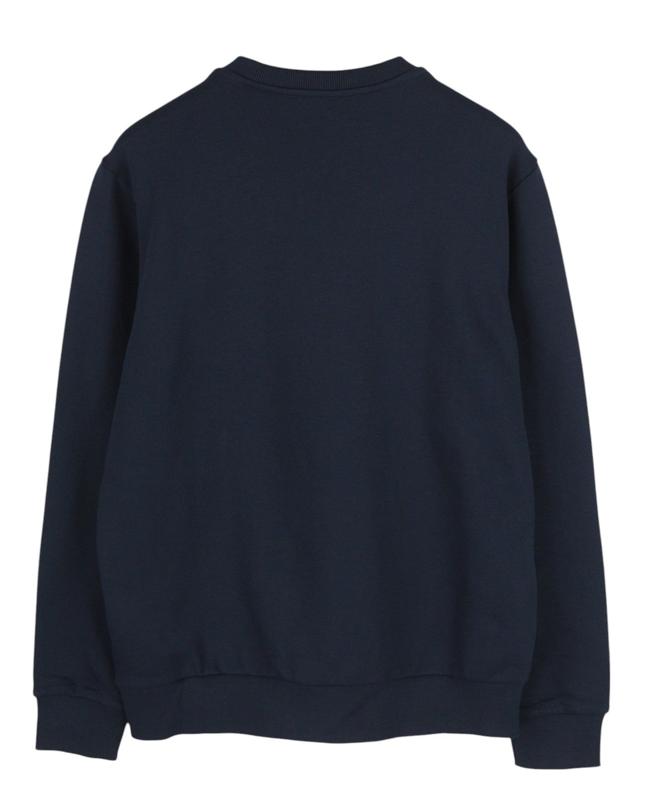 DIESEL S-Gir-Crewneck Tone On Tone vyriškas džemperis L dydžio, mėlynas, megztinis RRP110