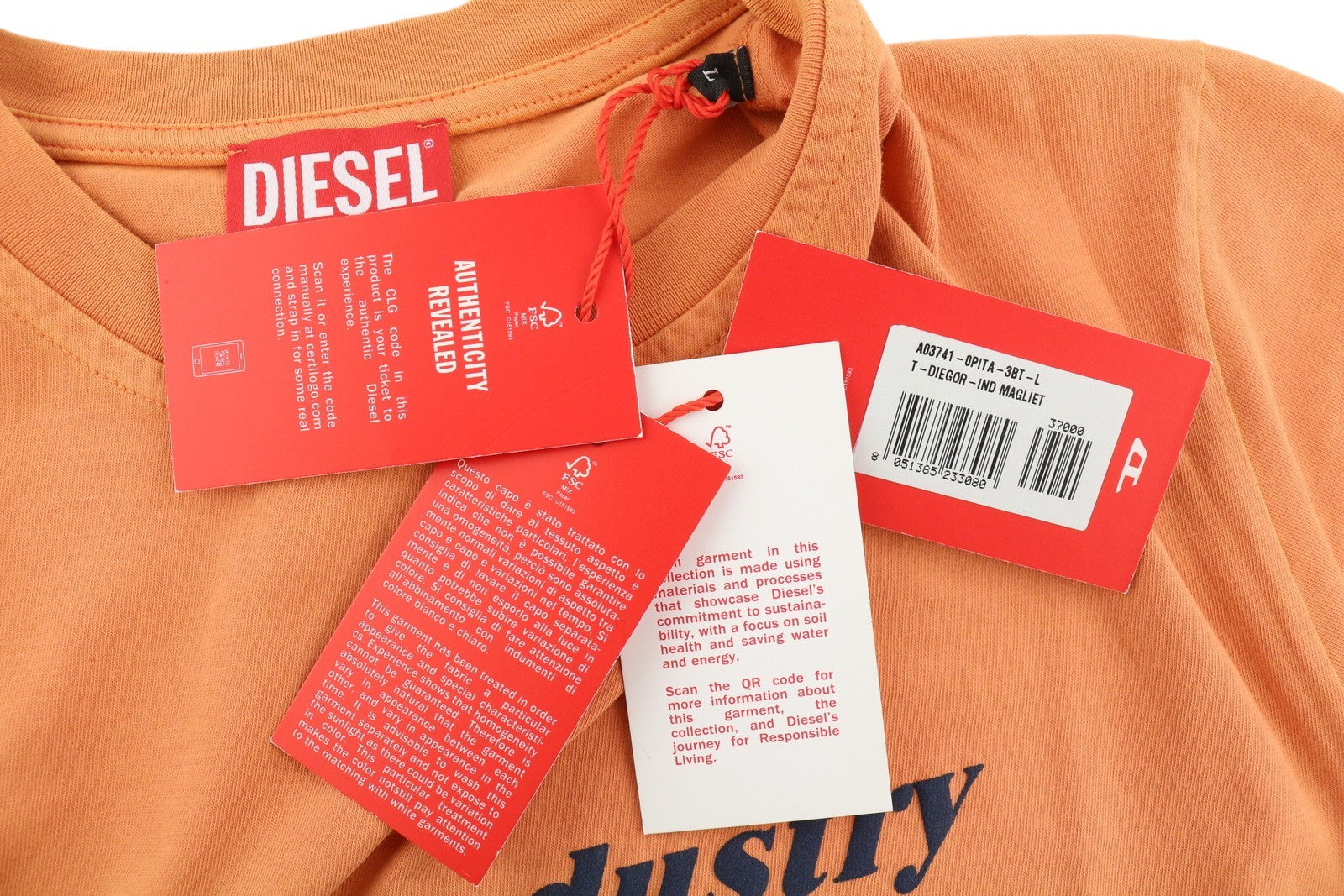 DIESEL T-Diegor-Ind Men T-Shirt L Orange Short Sleeved Crew Collar Logo Tricot