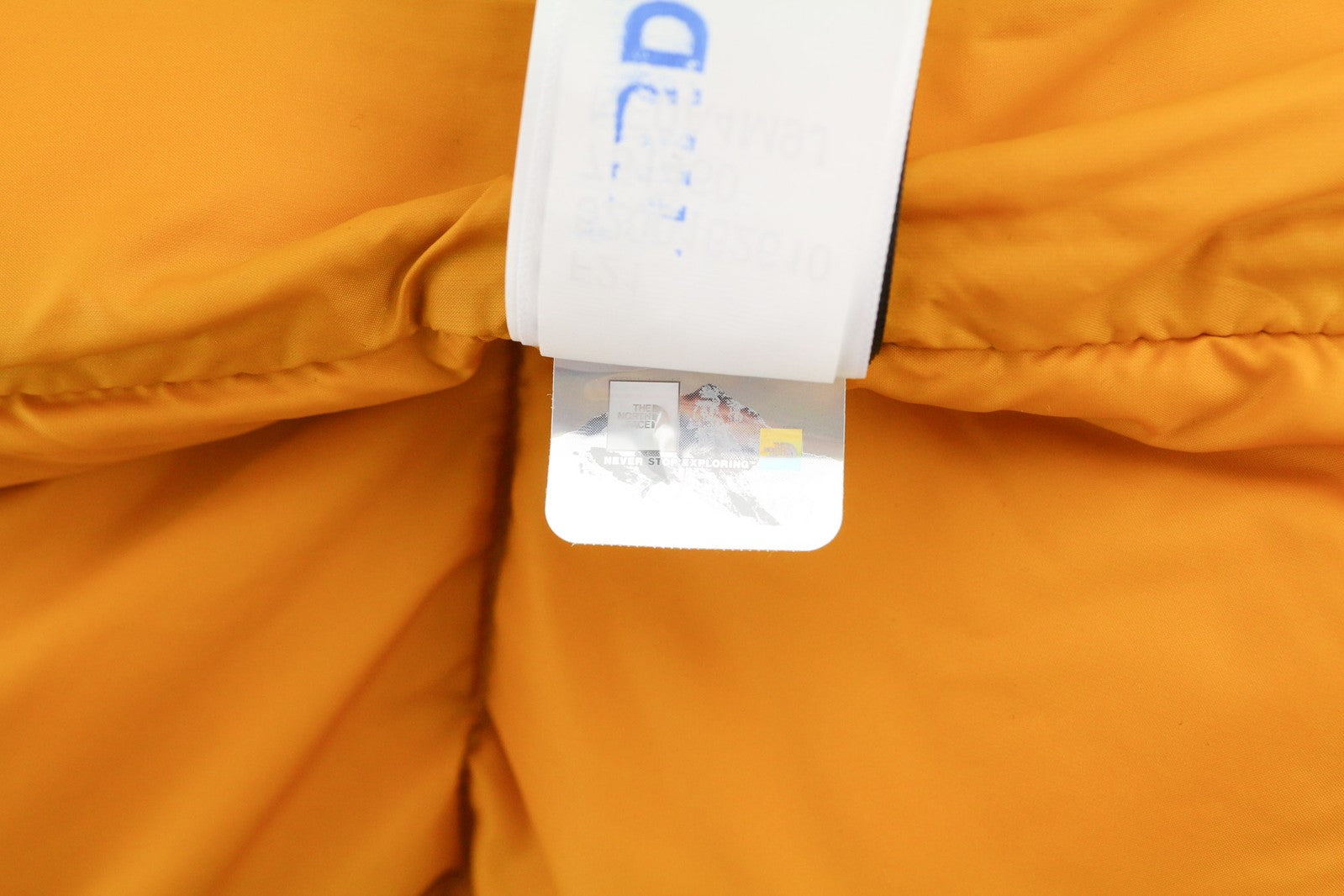 „The North Face Diablo Down“ vyriška striukė S 700 su izoliacija ir dygsniuotu logotipu bei pūkuota danga. 