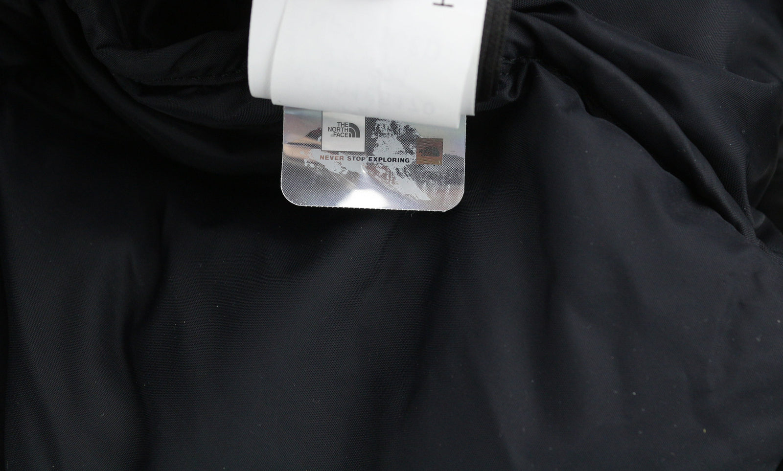 „THE NORTH FACE 1996 Retro Nuptse“ vyriška striukė L 700 su izoliuotu gobtuvu ir pūkomis 