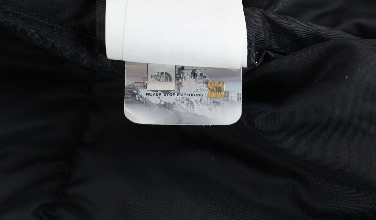 „THE NORTH FACE 1996 Retro Nuptse“ vyriška striukė L 700 su pūkų izoliacija ir paslėptu gobtuvu 