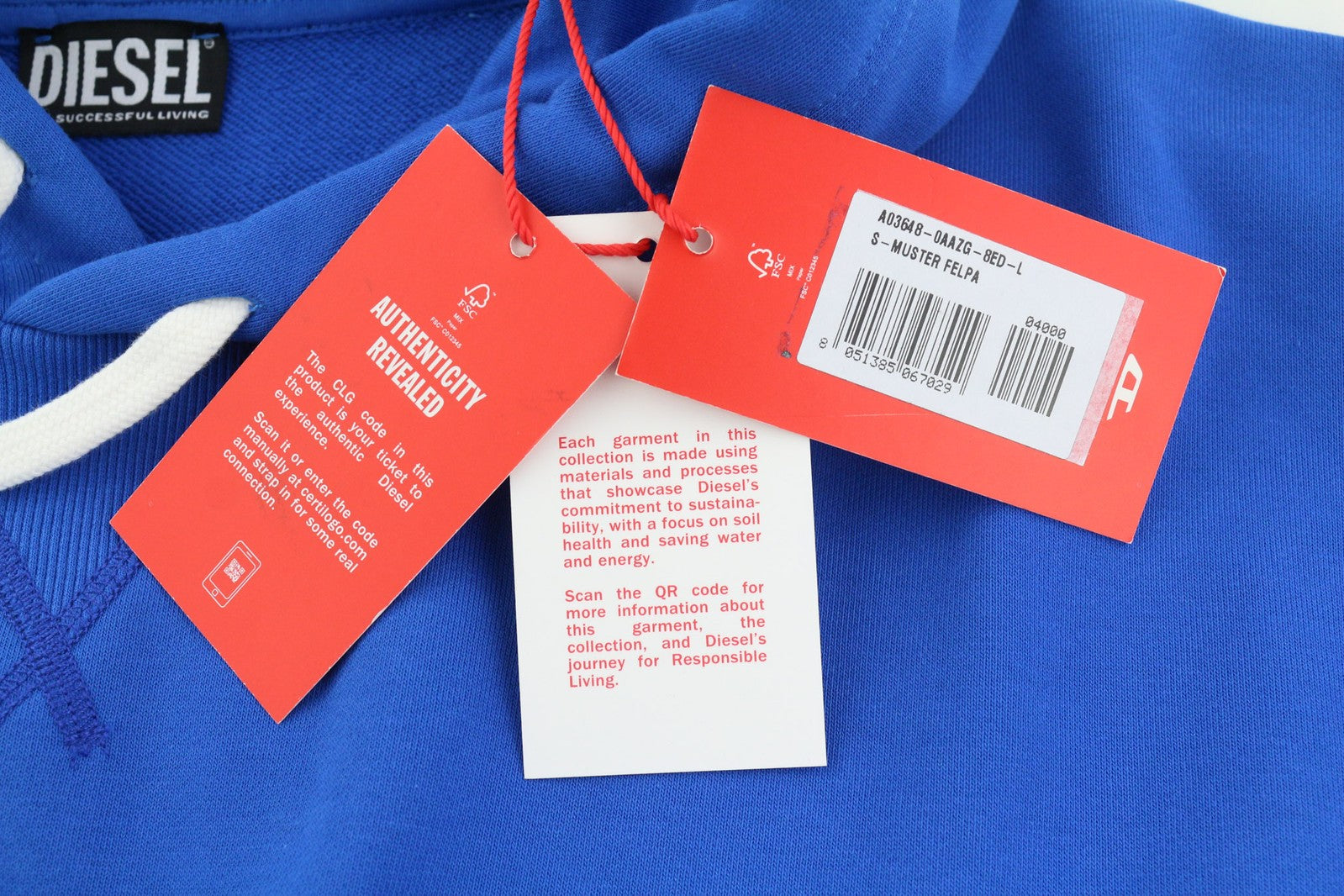 DIESEL S-Muster vyriškas džemperis su gobtuvu, L dydžio, mėlynas, su gobtuvu ir kišene, RRP150