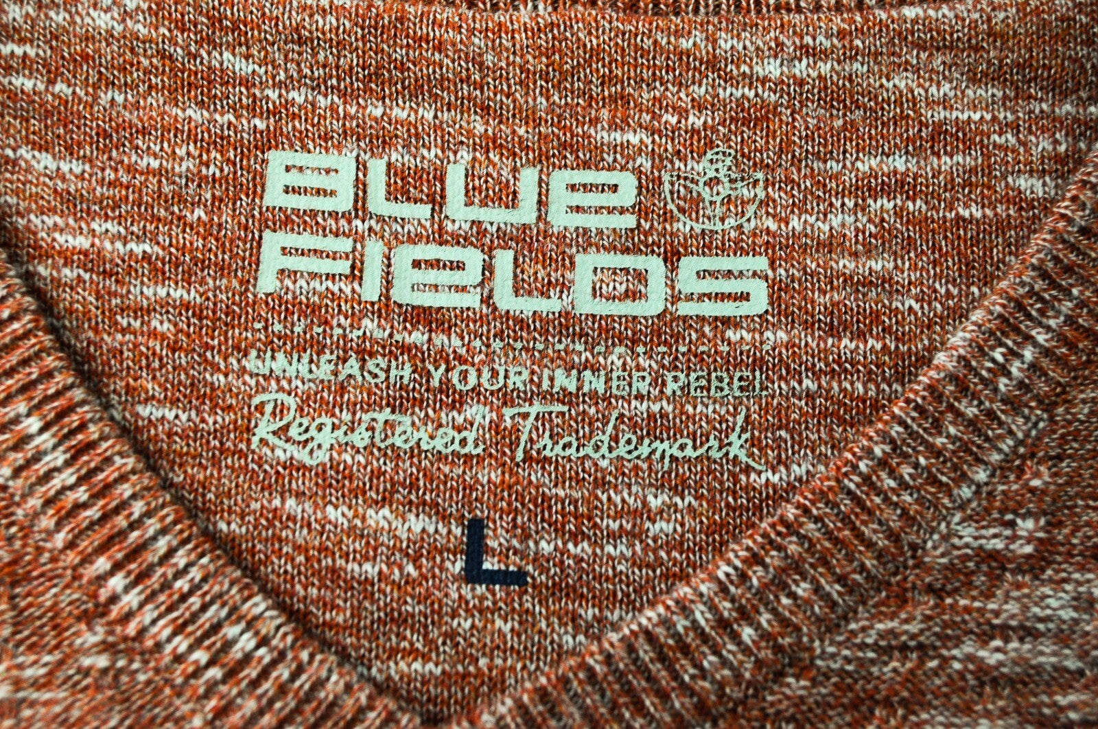 BLUE FIELDS vyriškas megztinis L dydžio oranžinis medvilninis megztinis su V formos iškirpte ilgomis rankovėmis 