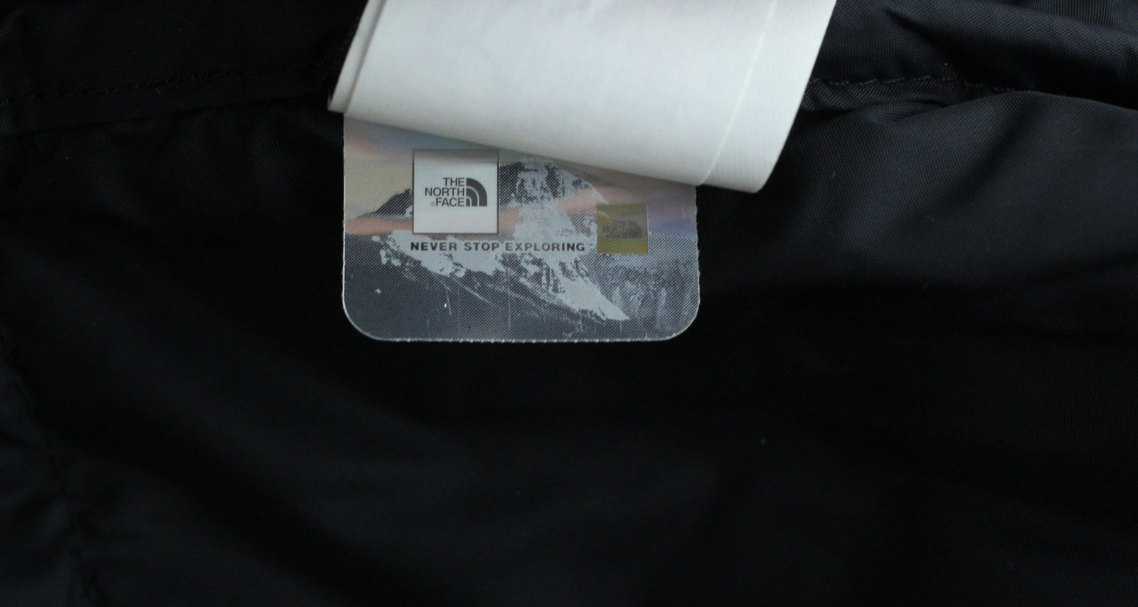 „The North Face 1996 Retro Nuptse“ vyriška striukė XL dydžio su logotipu ir paslėptu gobtuvu. 