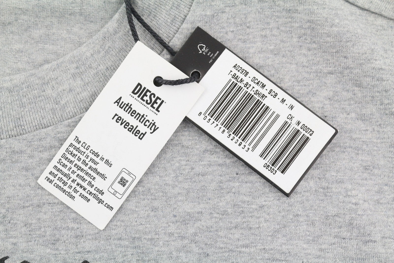 DIESEL T-Balm-B2 vyriški marškinėliai pilki melanžo spalvos, dideli raštuoti, rekomenduojama kaina – 125 € 