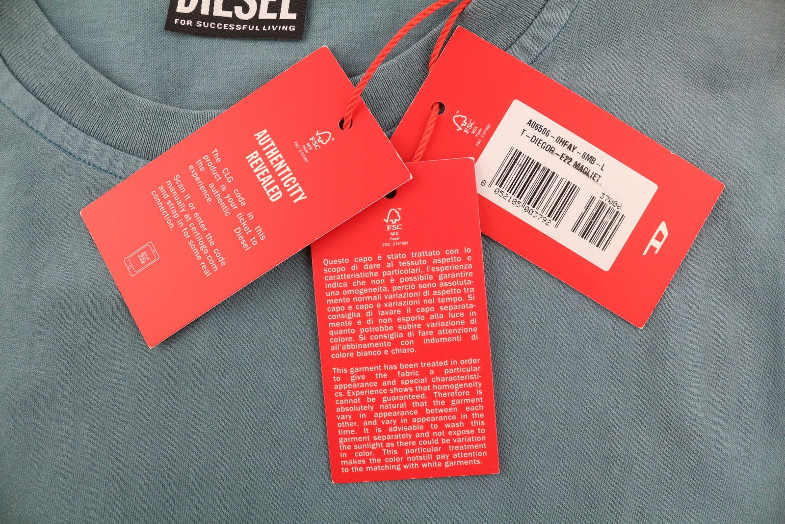 DIESEL T-Diegor-E22 vyriški marškinėliai L dydžio, mėlyni, išblukimo efekto, apvalios iškirptės, trumpomis rankovėmis, trikotažiniai