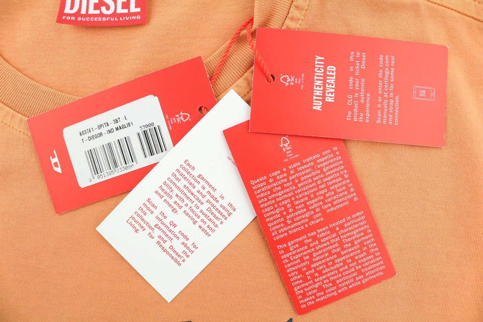 DIESEL T-Diegor-Ind Mens T-Shirt L Orange Short Sleeve Crew Neck