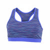 Blue Polyamide Sports Bra
