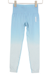 Leggings Adapt Ombre Seamless