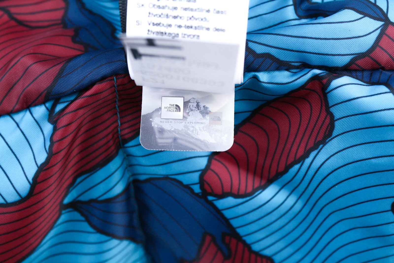 „THE NORTH FACE Diablo Down“ vyriška pašiltinta striukė L 700, paminkštinta, su užtrauktuku ir RRP 350 