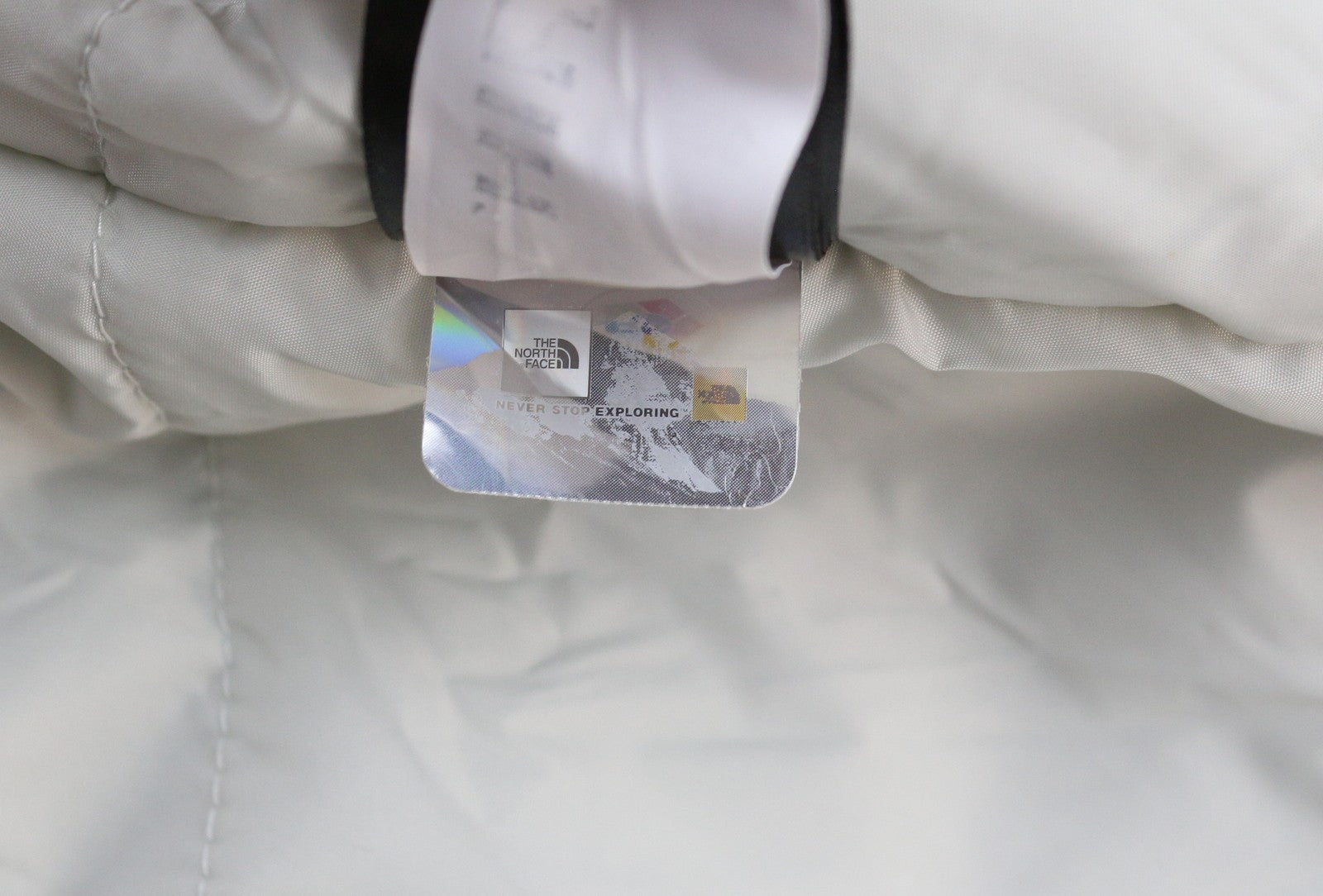 „The North Face Inlux“ moteriška L dydžio „Dryvent“ paminkštinta striukė su vilnos pamušalu ir nuleidžiama nugara. 