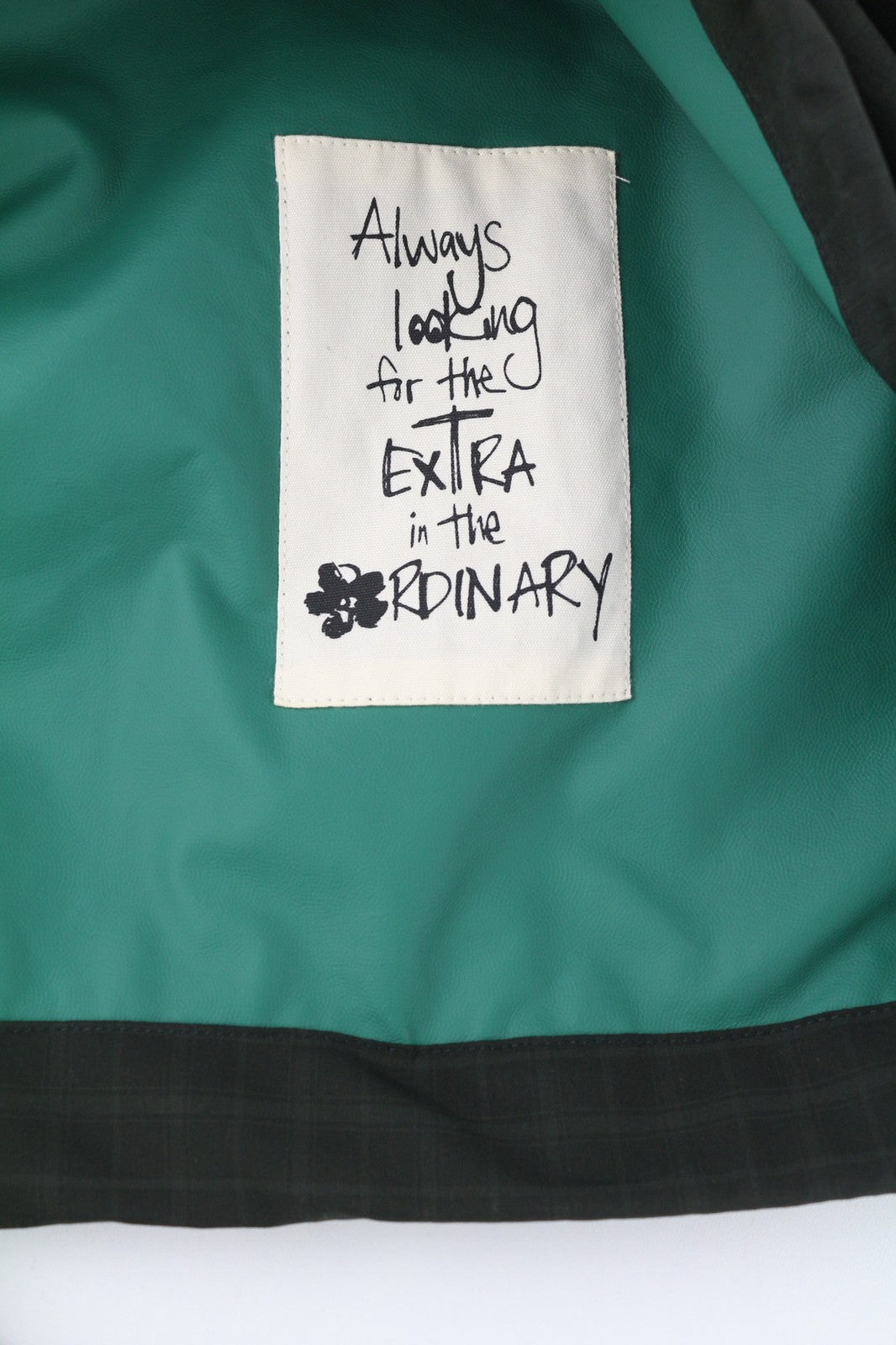 TED BAKER MMP Dafen vyriška striukė ~M žalia anorako striukė su raišteliu aukšta apykakle languota 