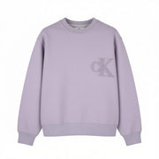 CALVIN KLEIN Men Sweatshirt M Lavender Purple Crew Neck Logo Oversized Pullover